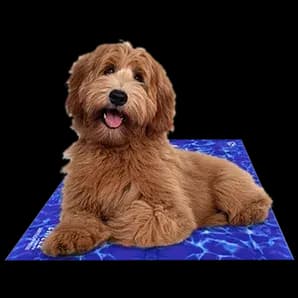 Cooling Mat