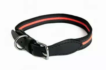 Everyday Collar